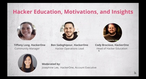 Hacker Education, Motivations, and Insights